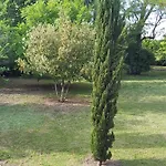 O Miroir... Sans Detour Dis-moi De Ce Sejour * Francescas